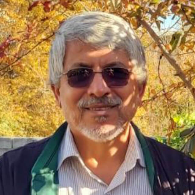 عبدالرضا دسومی