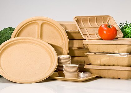 yekbarmasraf disposable dishes