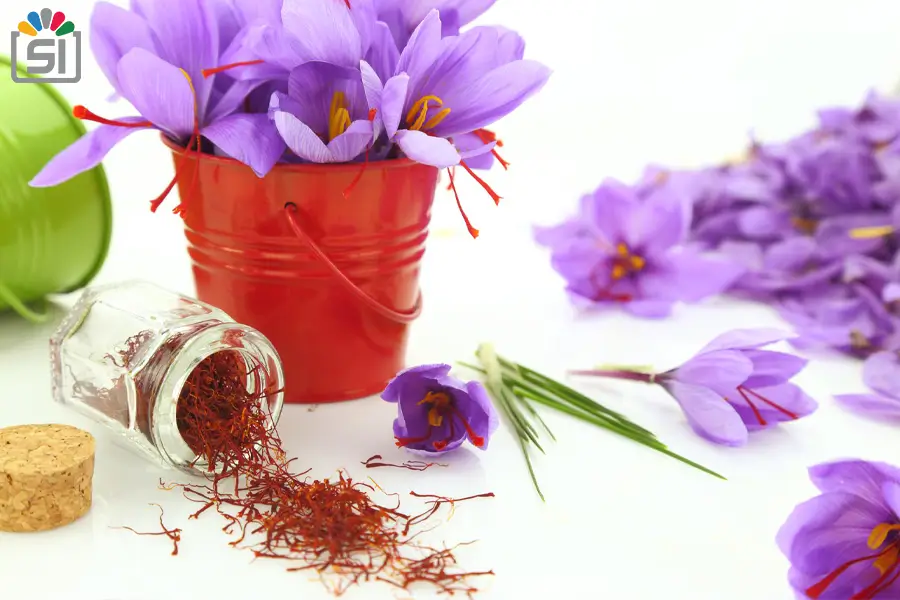 صادرات زعفران ایرانی